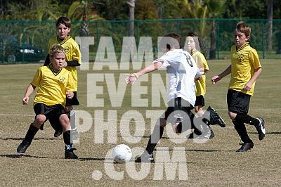 _MG_0089.jpg