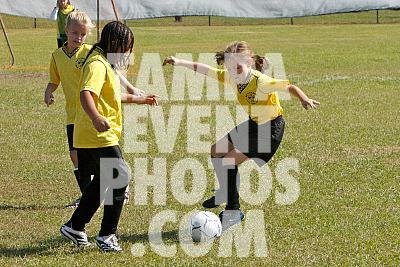 _MG_9964.jpg